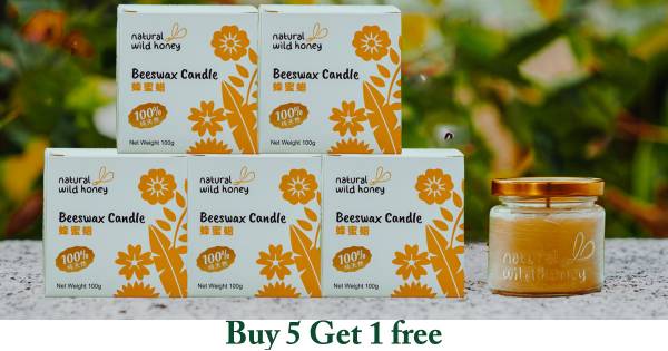 bioQ Beeswax Candle (Natural wax candle) Experience Natural Light with  bioQ Beeswax Candle at Rs 57/piece in New Delhi